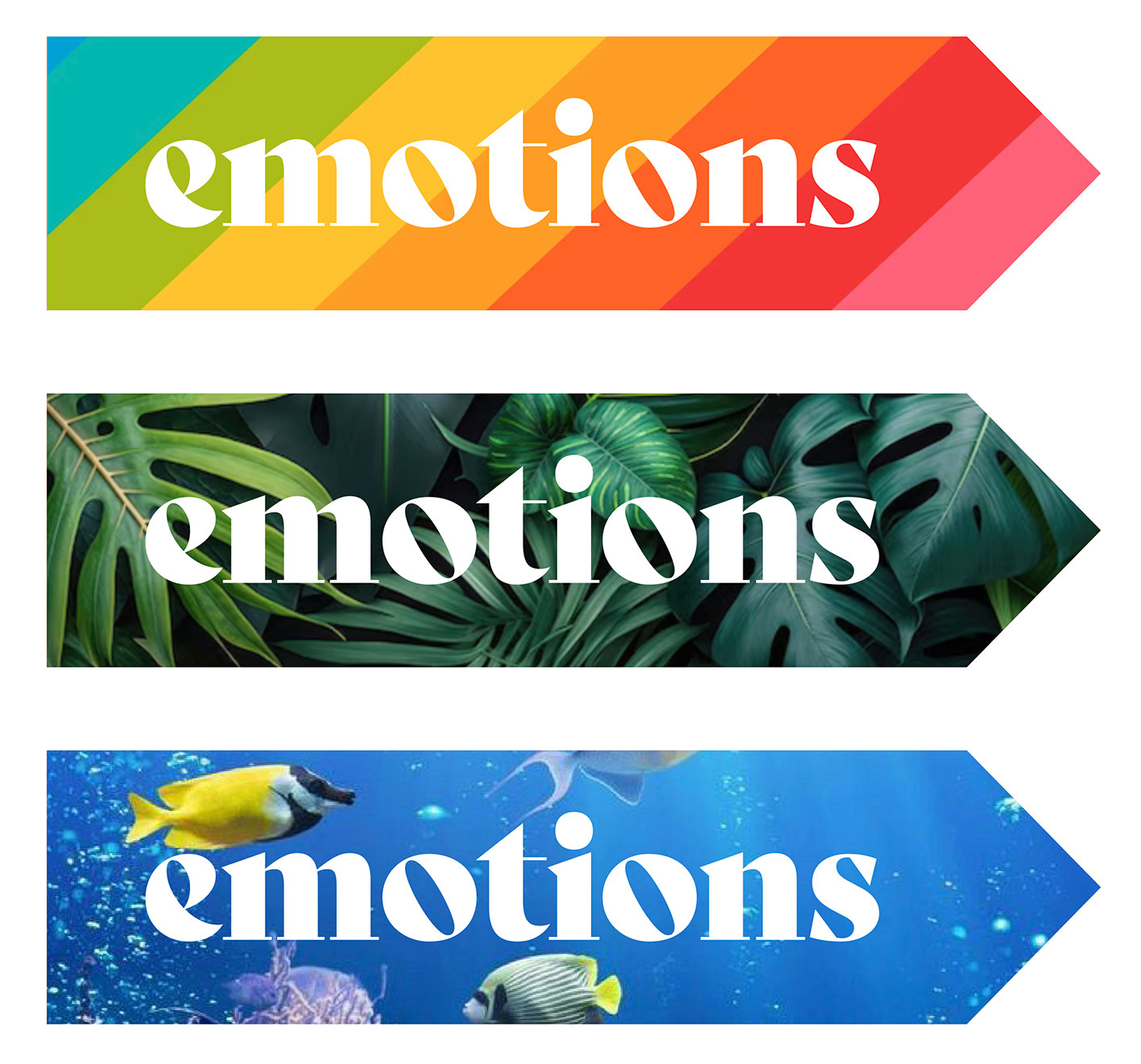 emotions.ch