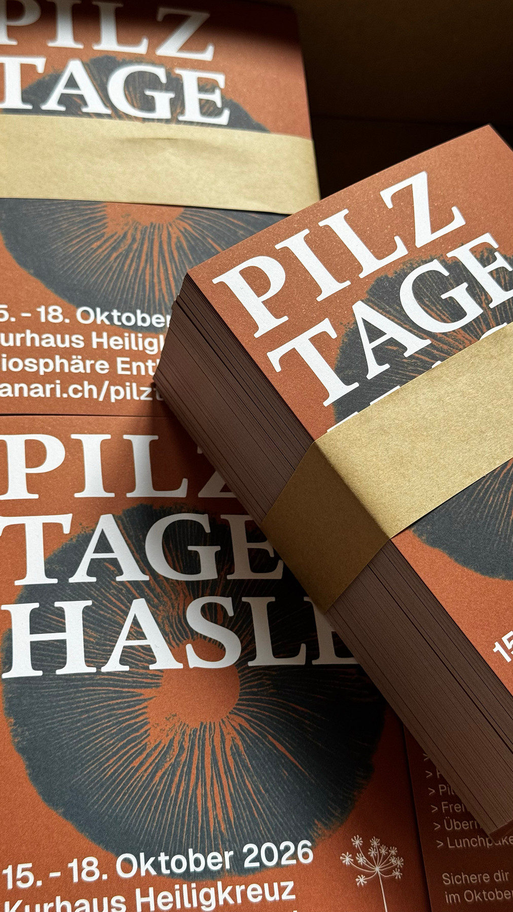pilz tage sanari