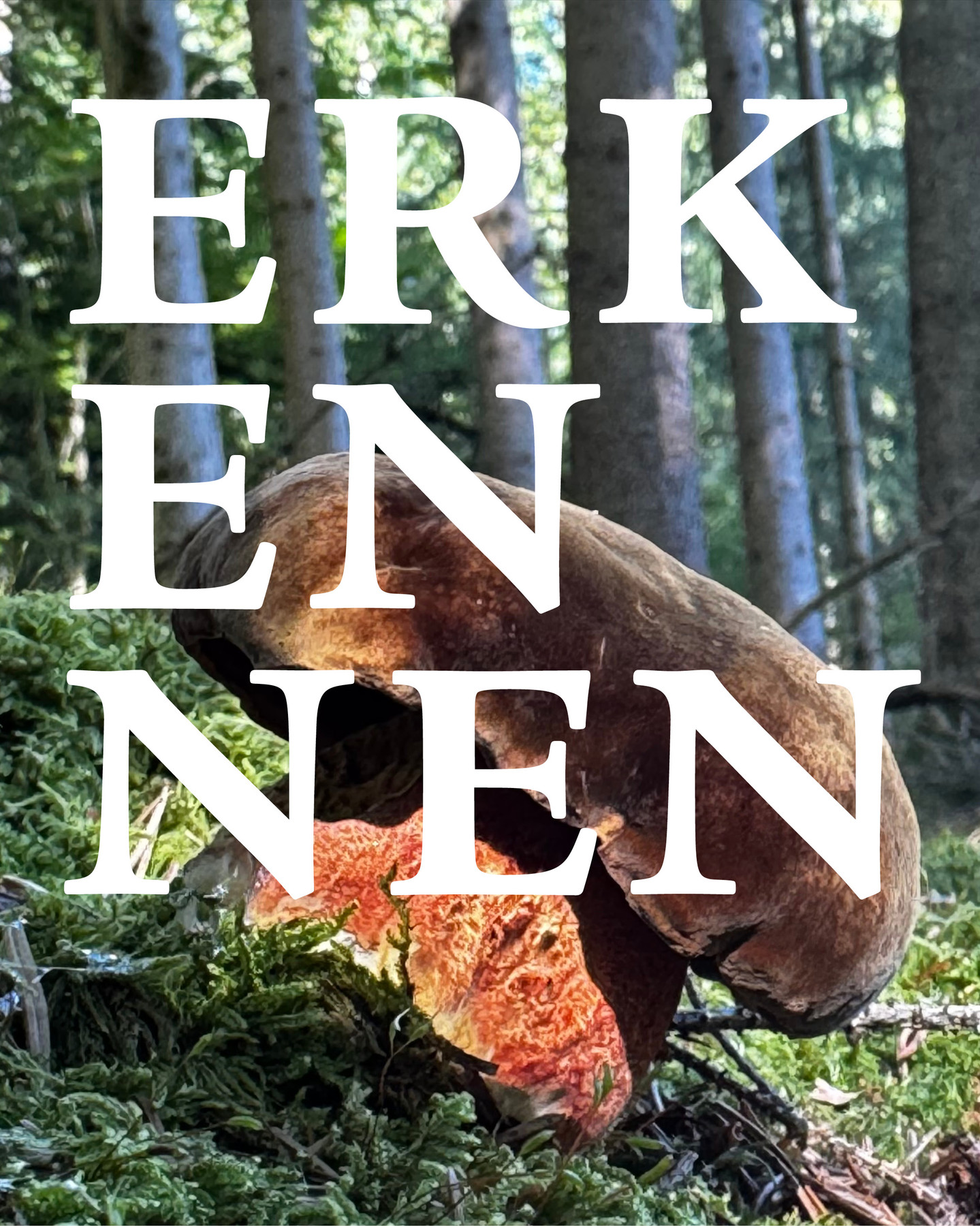 pilz tage sanari